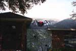 b_roof_spider