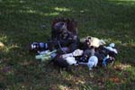z_teardown_5